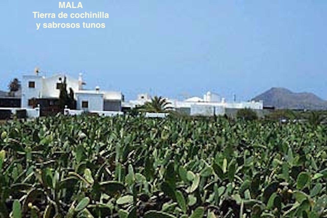 Casa "Gara" Mala-Lanzarote Norte Buitenkant foto